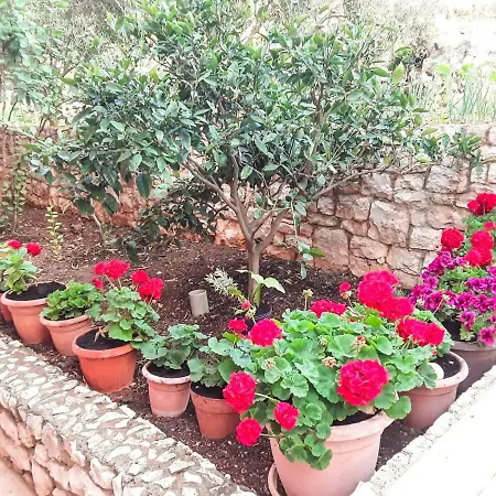 Apartament Doris